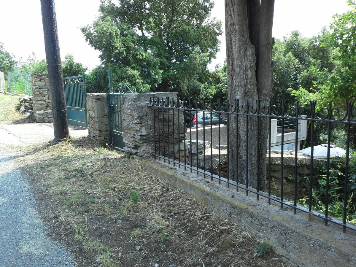 D17 Studio Pietra Bagian luar foto