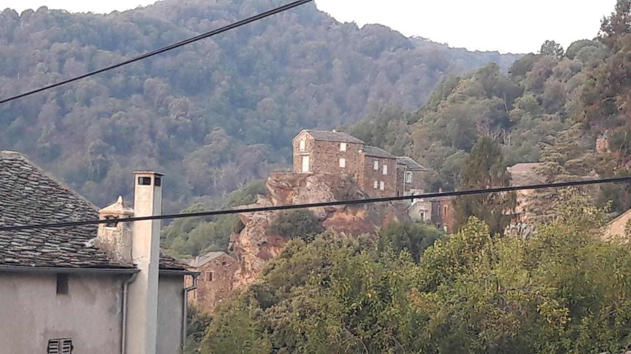 D17 Studio Pietra Bagian luar foto