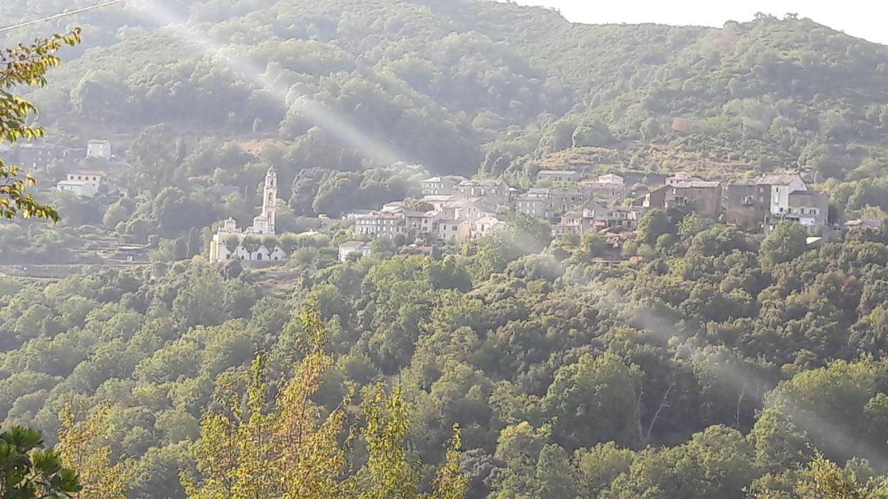 D17 Studio Pietra Bagian luar foto